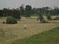 Rheinaue Oberkassel