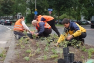 BUND-Aktive bepflanzen Schotterbeet.